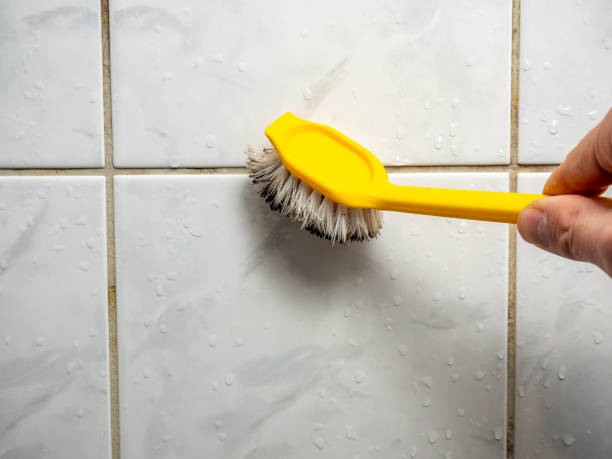 Best Black Mold Removal  in Holtville, CA